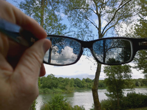 polaroid sunglasses