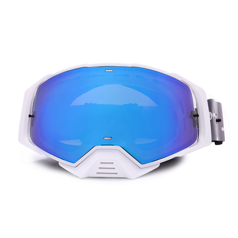 Motocross Goggles (1)